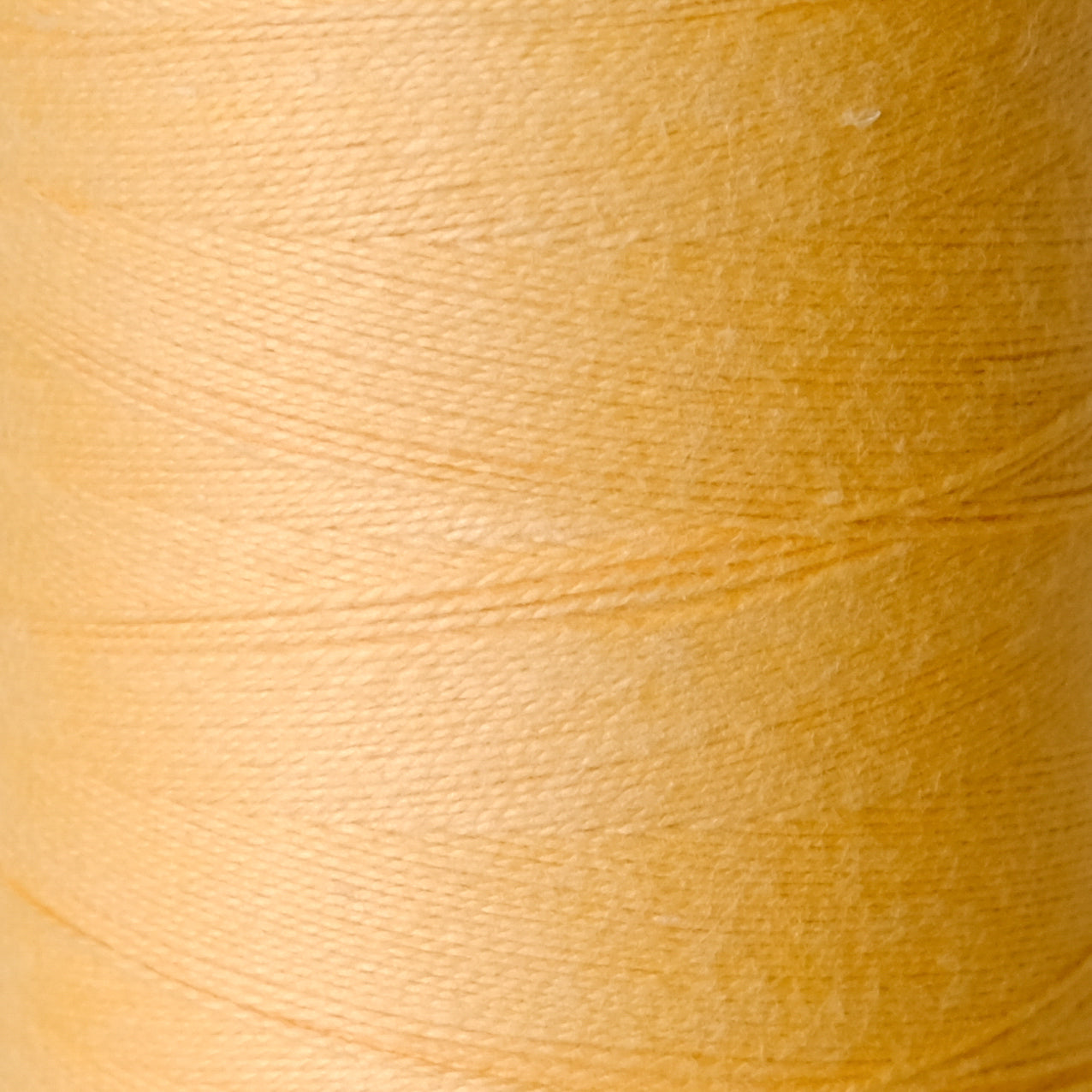 2/8 Cotton Weaving Yarn