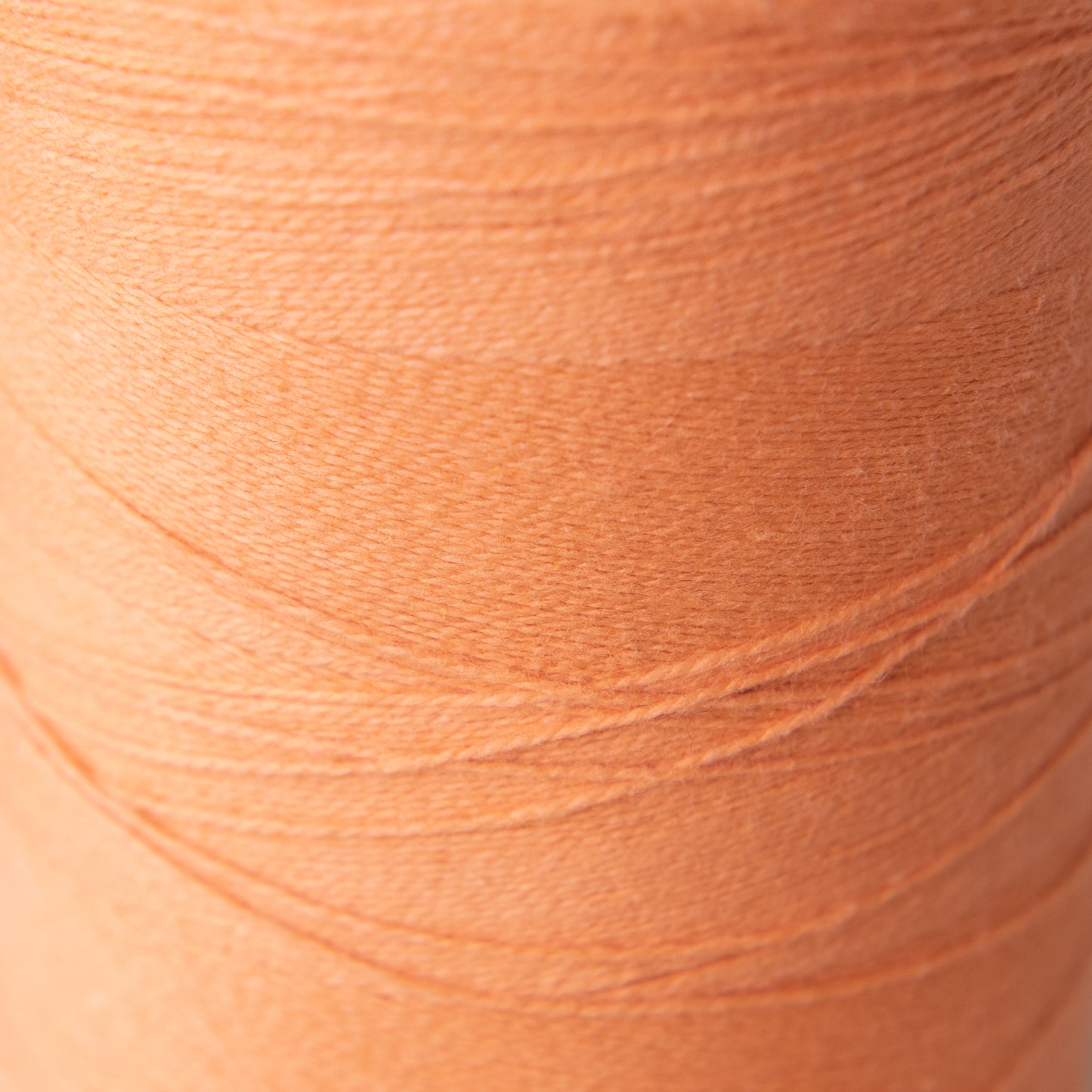 2/8 Cotton Weaving Yarn