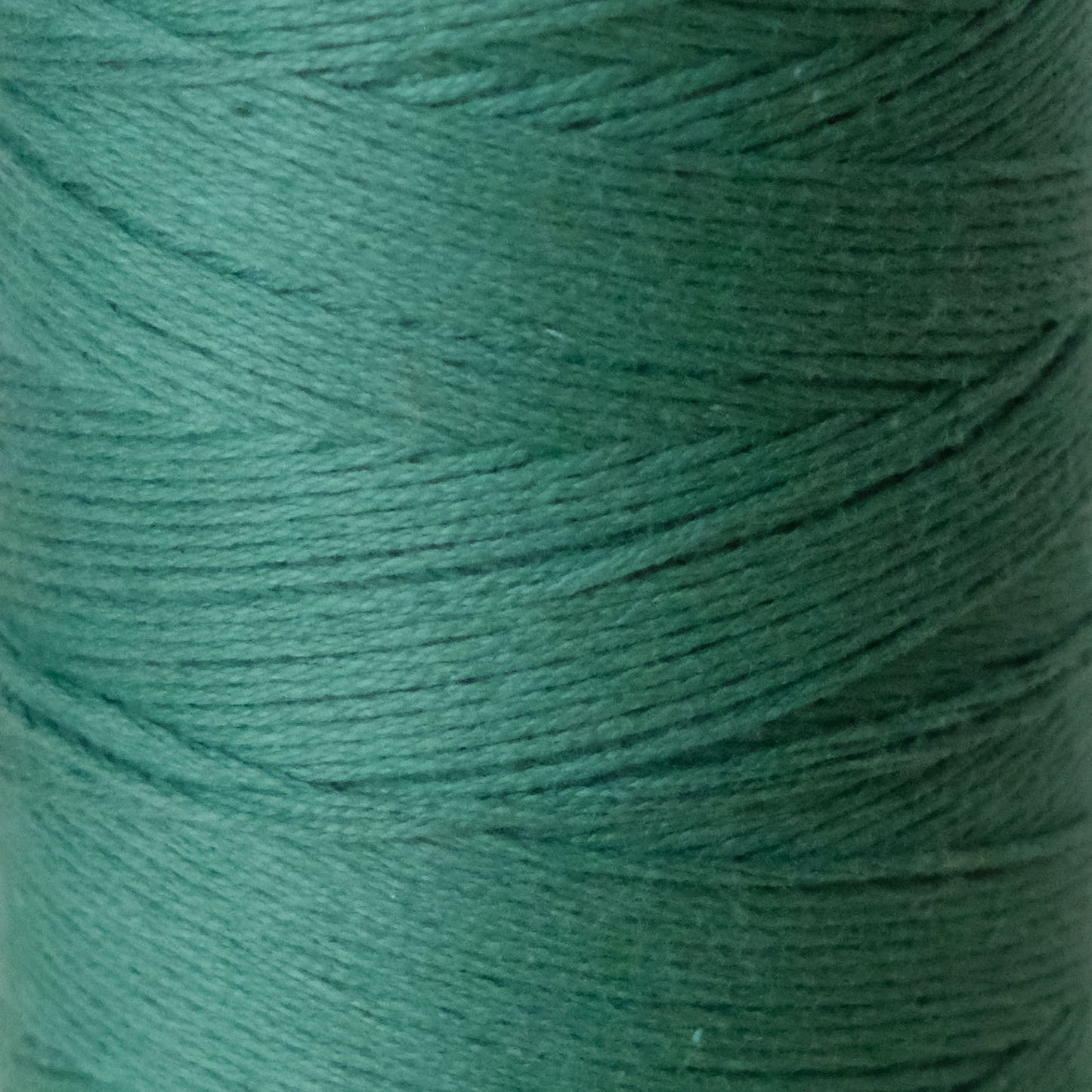 8/8 Cotton Weaving Yarn