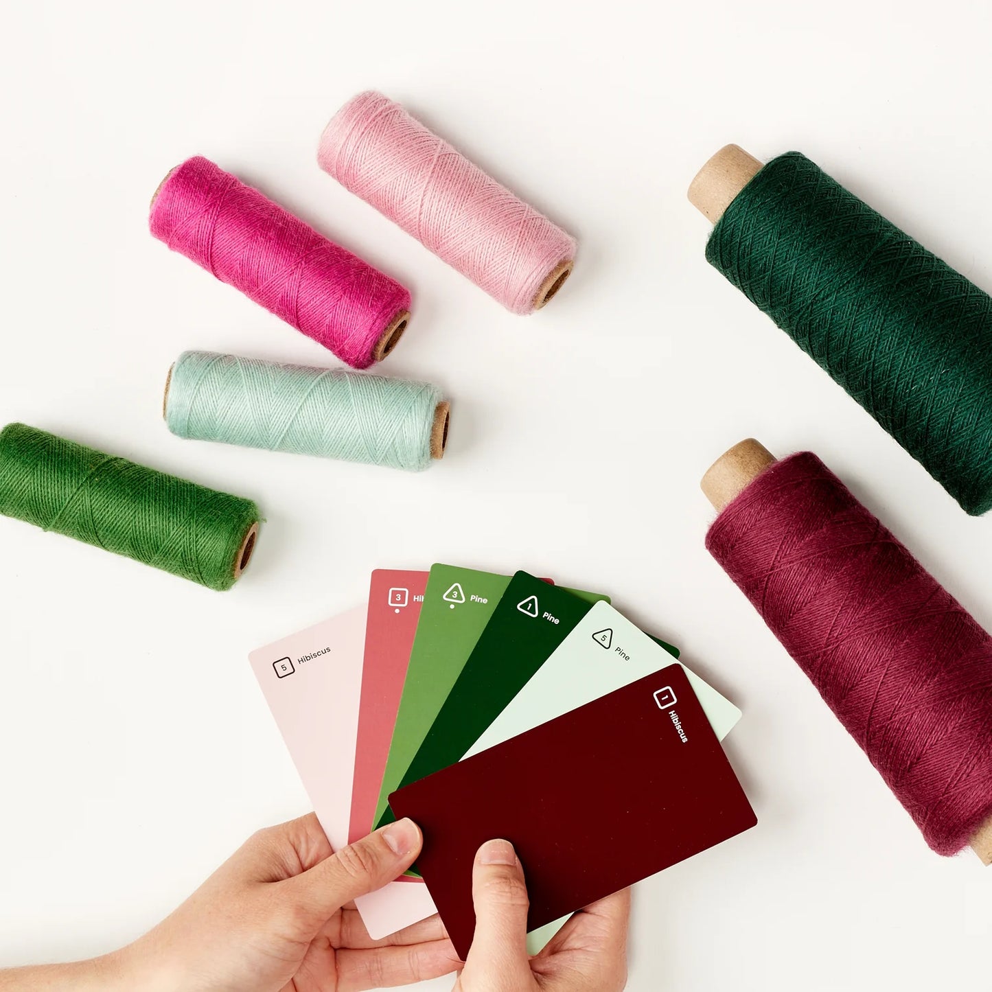 Palette Scout Colour Exploration Tool by Gist Yarn