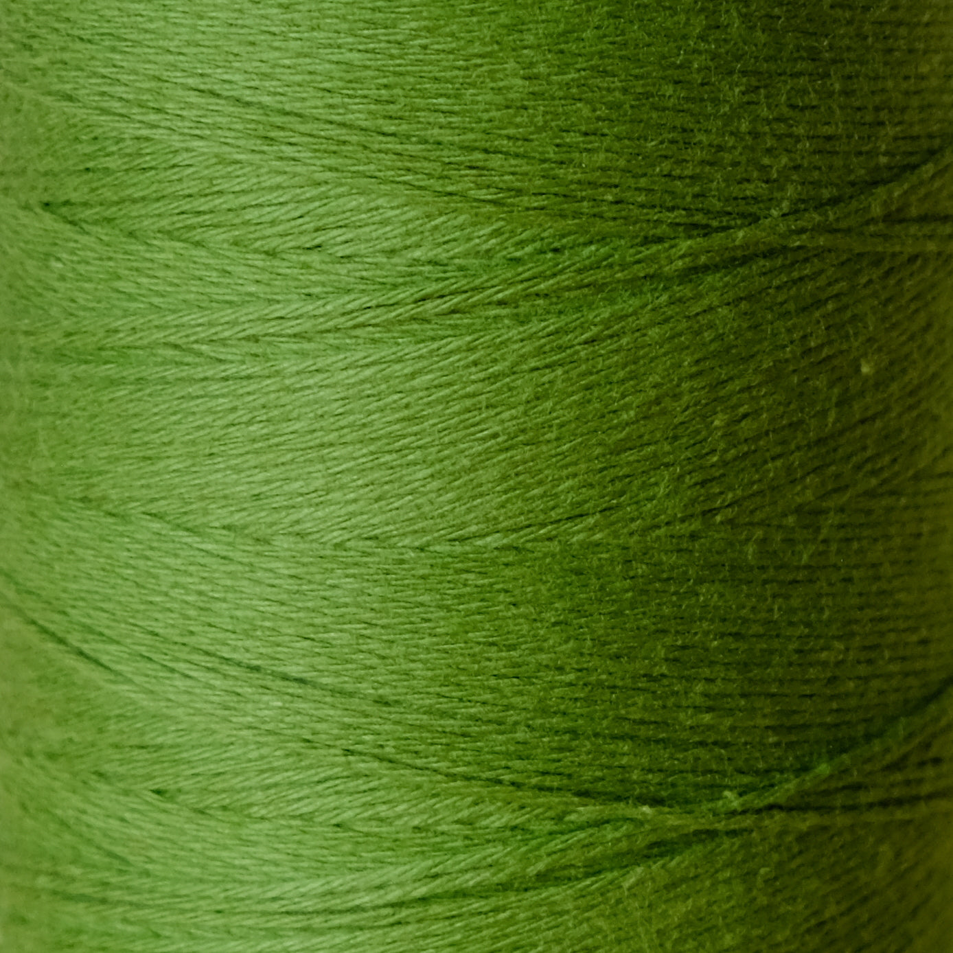 4/8 Cotton Weaving Yarn