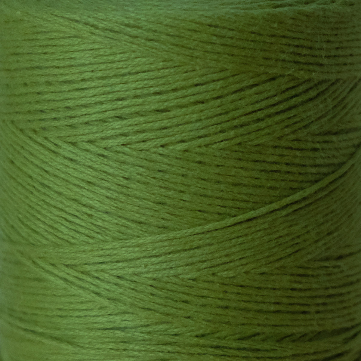 8/8 Cotton Weaving Yarn